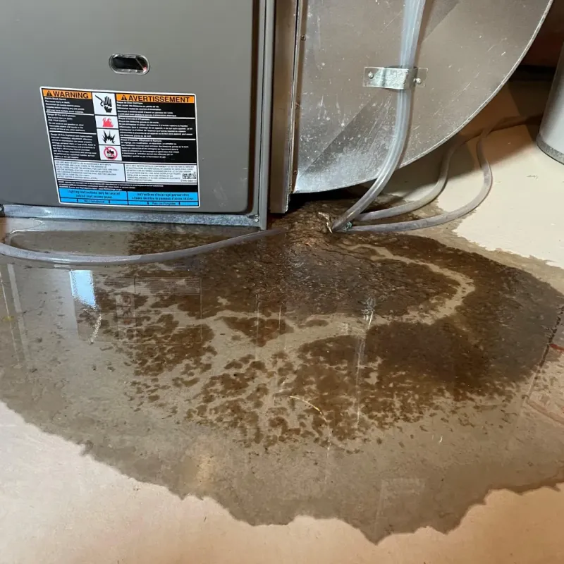 Appliance Leak Cleanup in McMinnville, TN